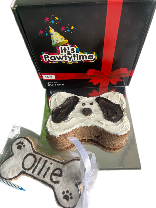 Cute Puppy Face Pawty Cake
